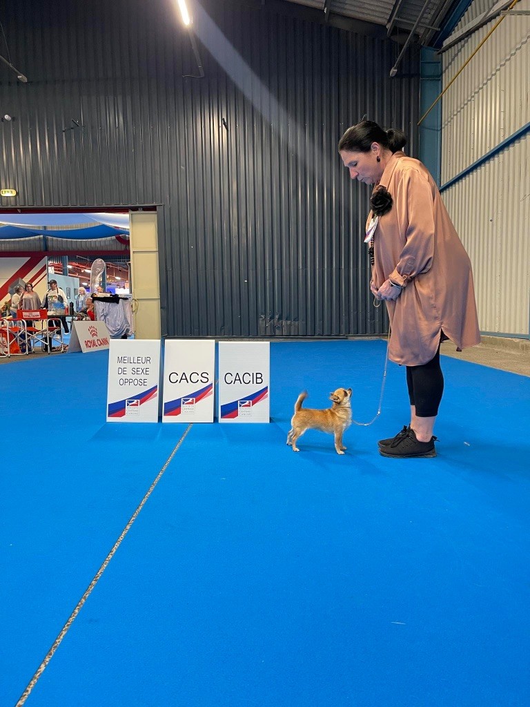 Tadjo siffle bambou Des Matriochekas Mexicaines